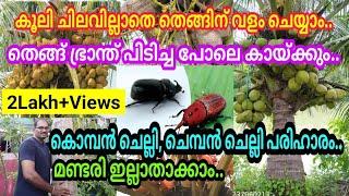 തെങ്ങിന് വളം കൂലി ചിലവില്ലാതെ ഏതു സമയത്തും ചെയ്യാം/ കൊമ്പൻചെല്ലി,ചെമ്പൻ ചെല്ലി,മണ്ഡരി ഇല്ലാതാക്കാം..