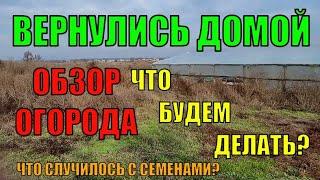 Обзор огорода,теплиц. Порвали пленку. Пропали семена. Объём работ на первое время.