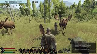 Где растет клён (белое дерево) в LIfe is Feudal MMO