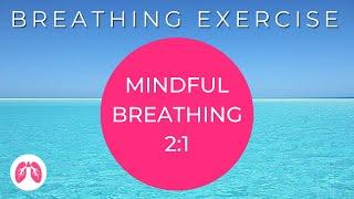 Breathing Exercises to Reduce Stress & Anxiety | Mindful Breathing Technique |  TAKE A DEEP BREATH