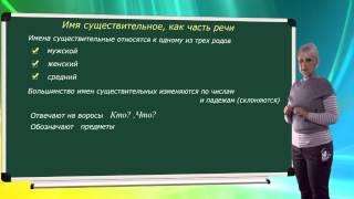 Имя существительное как часть речи