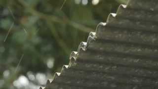 Panasonic GM1 + KIRON 70-150mm OM Mount Lens Test