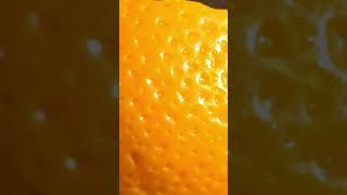 The Secret of Orange Peel #shorts #macro #science #discovery #satisfying #orange #citrus #funfacts