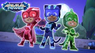 PJ Masks | New Powers for the PJ Masks?  | Kids Cartoon Video | Animation for Kids | COMPILATION