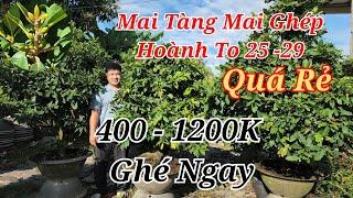  CÒ 0332364556 MAI TÀNG MAI GHÉP CHƠI TẾT NỤ ĐẶC KẸO 400-1200K GHÉ NGAY 24/12/2024 | Bến Tre Ơi