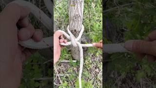 The Knot That Never Fails – Loop Knot Trick for Climbing & Daily Use #DesiJugad #viral