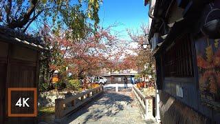 Walking Kyoto 4K - 360º Photogenic at Kiritoshi - Only 240YD, Instantly You Feel Old Japan