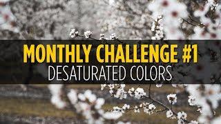 Desaturated Colors Photo Challenge