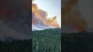 Canadian wildfire causes the worst Air index in NYC