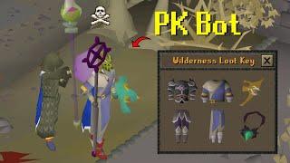 He tried using a PK Bot and Lost 1.2 Billion GP