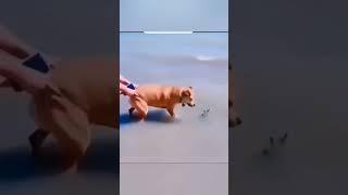 Funny_animal_videos_-_dog_videos_-_funny_dog_#shots #trending #youtubeshorts #viral #video #tikto