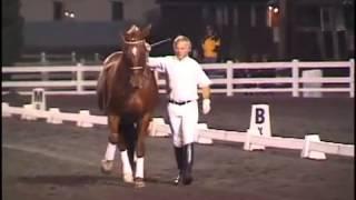 Jean Luc Cornille and Lafayette II at Devon Horse Show