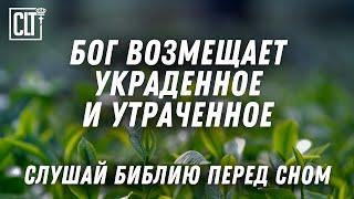 Ты будешь, как напоенный водою сад и как источник, воды которого  не иссякают #Библия #relaxing