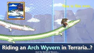 How to Tame a Wyvern in Terraria ─ Wait, that's illegal... or is it?