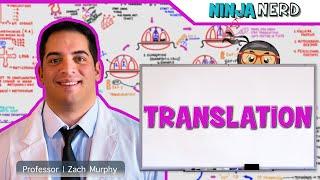 Cell Biology | Translation: Protein Synthesis 