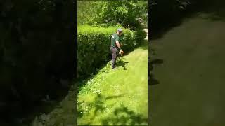 Sunny weather makes garden care easy — we’ll make it effortless