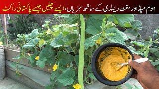 Homemade free organic fertilizer for vegetable plants
