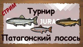 Русская Рыбалка 3.99 Турнир Патагонский лосось - стрим 2021.04.20/ Jurassic2