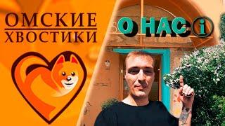 Собаки и кошки приюта для животных | Вся правда про Омские Хвостики