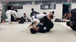 Flow Roll Breakdown With My Purple Belt Buddy