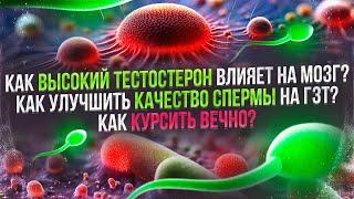 Как высокий тестостерон влияет на мозг? Как улучшить качество спермы? Как курсить вечно?