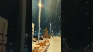 [Kida lako ke rakha feellinga mein sallya]-|#shorts Awesomeweather -whatsappstatus-wintervideo|