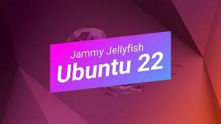 Ubuntu 22.04 Jammy Jellyfish