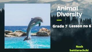 Animal diversity (English medium)