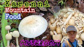 Karenni Man Finds Karenni Mountain Food (Mushroom)