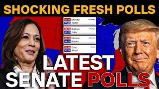 Shocking New Polls in Every Key State! Unpredictable Twists in the 2024 US Senate Race!