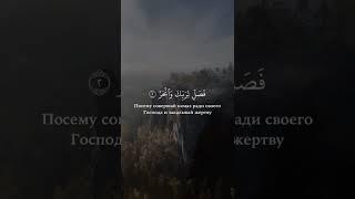 Сура Аль – Каусар  سورة الكوثر 108 Мекканская сура #Quran #коран Успокоение для сердец Ма ша Аллах