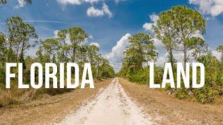 Florida Land for Sale | Recap