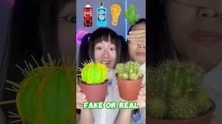 Fake Or Real Challenge Extreme ASMR #asmr #funny