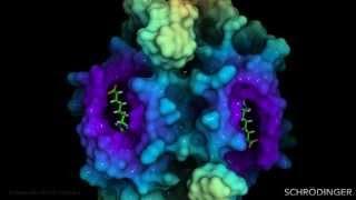 Scientific Animations and Visual Effects by Schrödinger