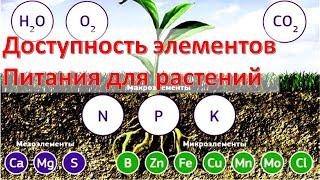 Доступность элементов питания для растений