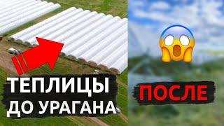 Теплицы Хайгроув. Обзор после урагана, ремонт и общая стоимость.