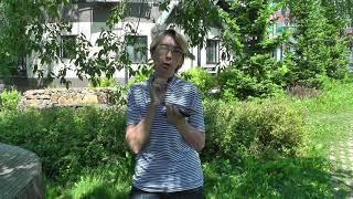 Елена Юн. Задачи 2020. О Голосовании и Личных Документах