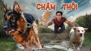 Quang BM | Thử Thách Dạy Chó Thả Diều | Dog Flying Kite Challenge