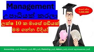 Comprehensive Guide to Management Degrees in Sri Lanka: Universities, Courses, and Career Paths