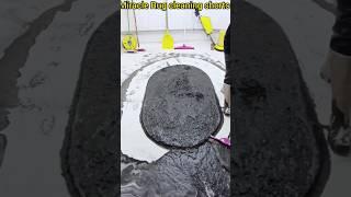 Watch This Rug Go From Filthy To Fantastic! #oddlysatisfying
