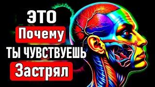 ТВОЁ ВНИМАНИЕ МЕНЯЕТ РЕАЛЬНОСТЬ: Забытая сила, о которой никто не говорит