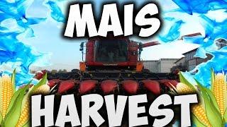 MAIS HARVEST | Laverda M304 | Deutz & Fiat tractors [GO PRO]