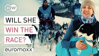 Dog Sled Racing: What It Takes To Compete