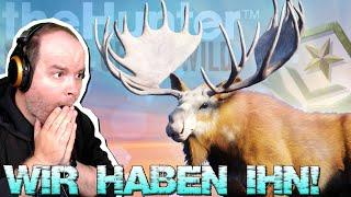 Unfassbar! Wir haben den Great One Elch! | theHunter Call of the Wild