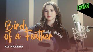 Alyssa Dezek - Birds of a Feather (Billie Eilish) | #AlyssaCovers