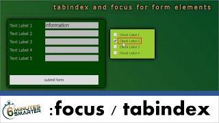 Improve Webform Usability with :focus and tabindex