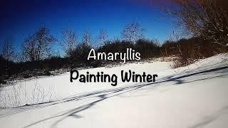 Painting Winter — Amaryllis (Official Music Video)