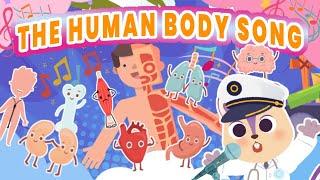 🫀 Human Body Song for kids | Easy way to learn about the Organs | Brain, Heart, Lungs, Kidneys 