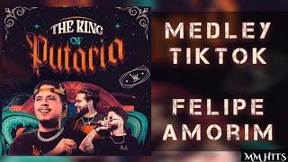 MEDLEY TIK TOK - Felipe Amorim (Áudio Oficial)