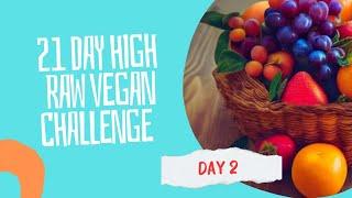 Day 2 of 21 Days High Raw| Trader Joe's Grocery Haul + What I Eat for Dinner Fully Raw Vegan